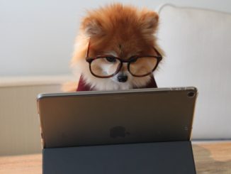 Un perro con gafas mirando atentamente la pantalla de una tableta, mostrando curiosidad y compromiso con la tecnología moderna.